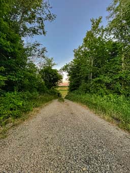 Road into the quarry
