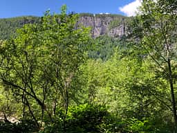 View from bank of channel, looking north at the Index Town Wall. 