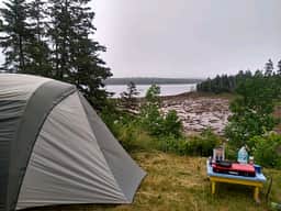 Site #5