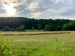 North Field with a Larsen kid enjoying. 