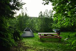 Chuckanut Peak is the highest point of our farm! Through the trees you can see the corner of the solar panels on the farmhouse roof. Off to the right, behind trees and out of the picture, is the Sauna Cabin/Restrooms, and water spigot.