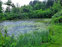 Shipshewana lake with channel