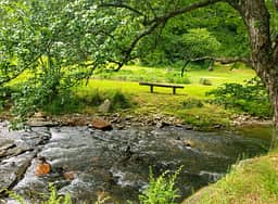 Walk across our bridge for additional benches, fire pits, outdoor lawn games and hammocks for relaxing.