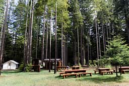 Giant redwood dining tables and the camp kitchen.