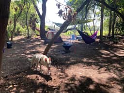 View of our Campsite