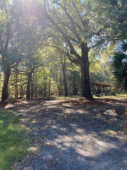 Driveway of the site, can hold up to 45 foot.  You can see the grilling lean to in the back.