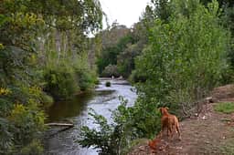 Riverside King Valley