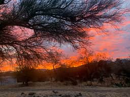 Desert hideaway