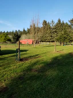 Site 1 & site 2. Quiet and peaceful!