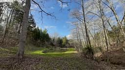 Bear Pond