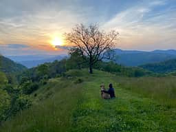 Pause || Eco-Retreat at Aramesh