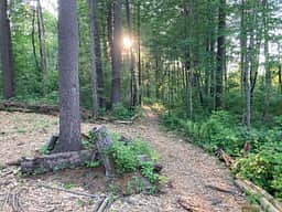 TRAIL TO CAMPSITE
