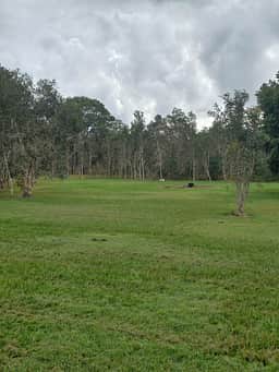 A view of one of the 8 camping areas