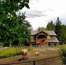 Rockin’ Z Ranch