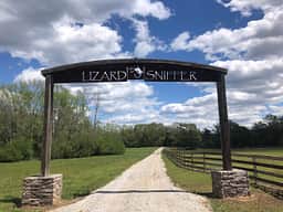 Lizardsniffer