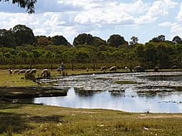 Klipdrift