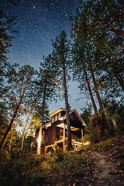 Tree Top Studio