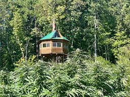 420 treehouses