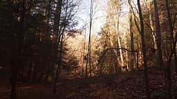 Nature's Way hike