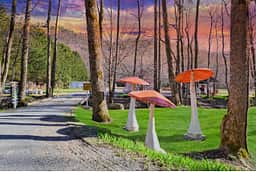 Magical Mountain Resorts