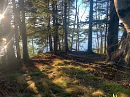 An overlook at the water's edge is available for your use! 
