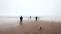 Acadian Coastal Camping & Dog Park