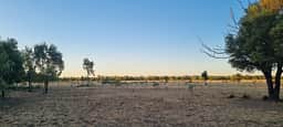 A large flat for a game of cricket or footy.