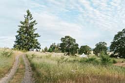 Gorgeous fields with a stunning clamping tent and multiple parking spaces for RVs