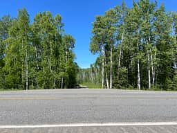 Mile Marker 314 George Parks Highway. Road to the property