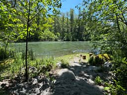 Mt. Hood Enchanted Forest