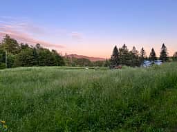 Private field and woods camping