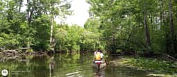 Town creek paddle