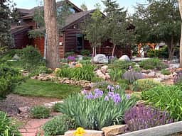 Lazy M Homestead