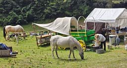 Cowboy Camp