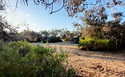 Melaleuca Grove (10 mins North of Dongara)