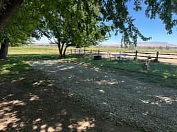 Mini Acres Farm