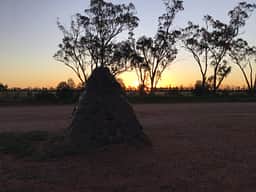 Camping at the NSW Centre