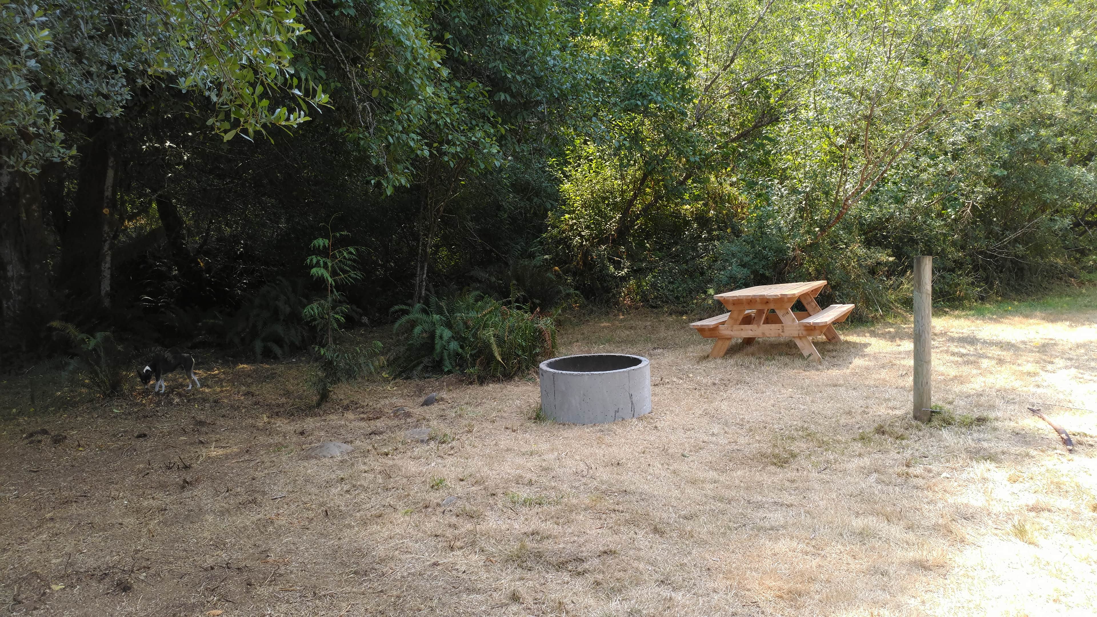 Picture of the site