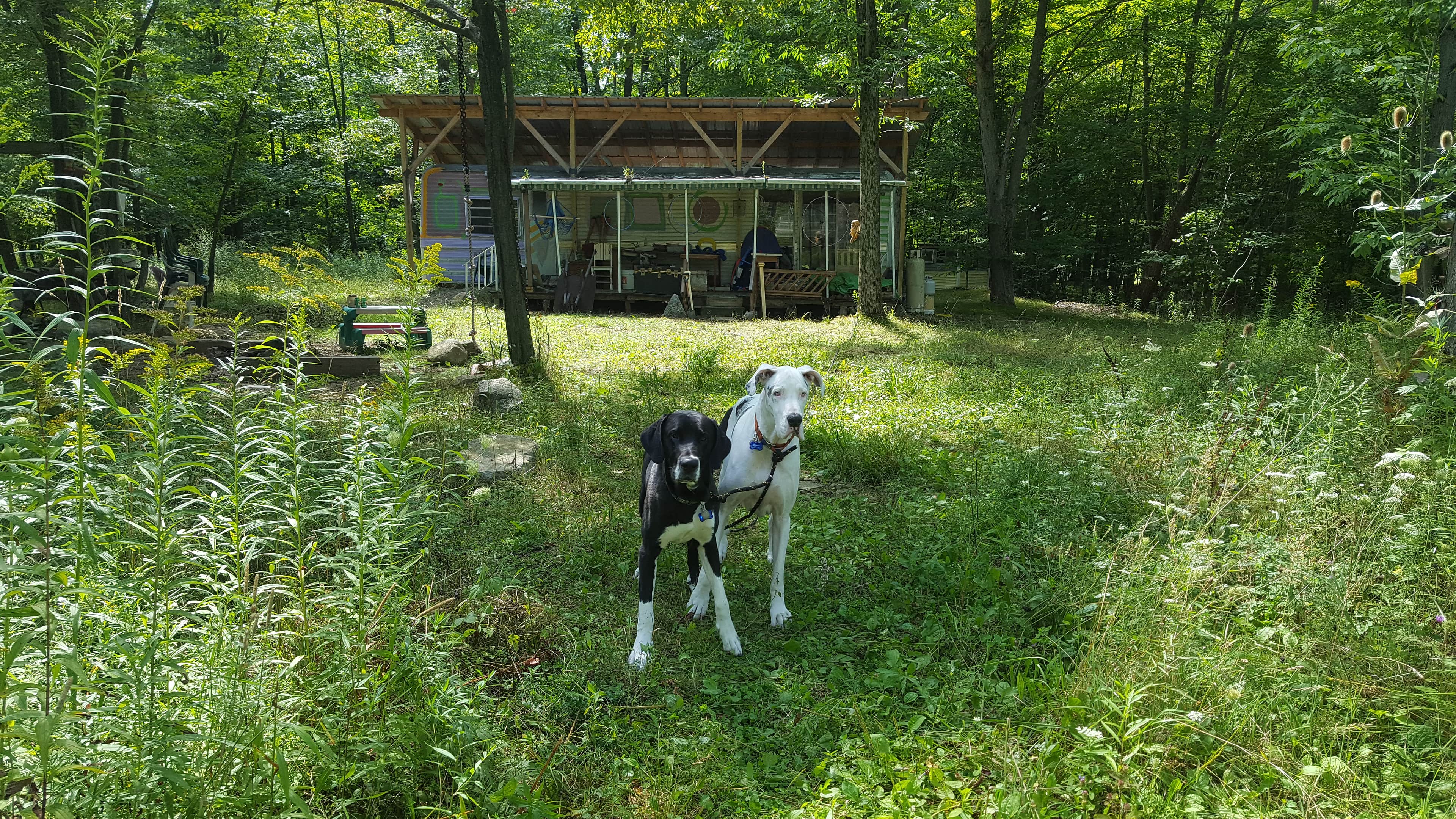 Picture of the site