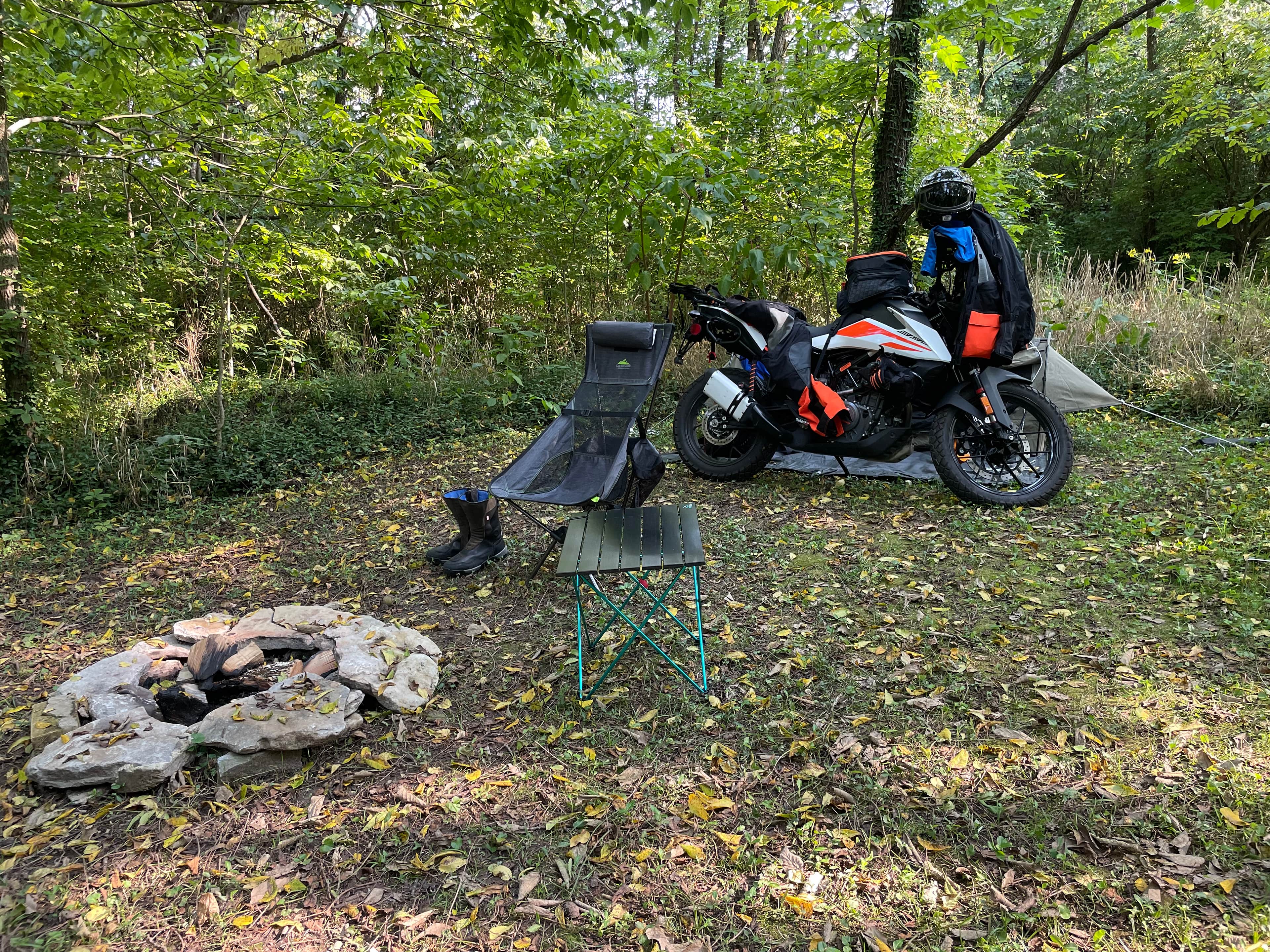 Picture of the site