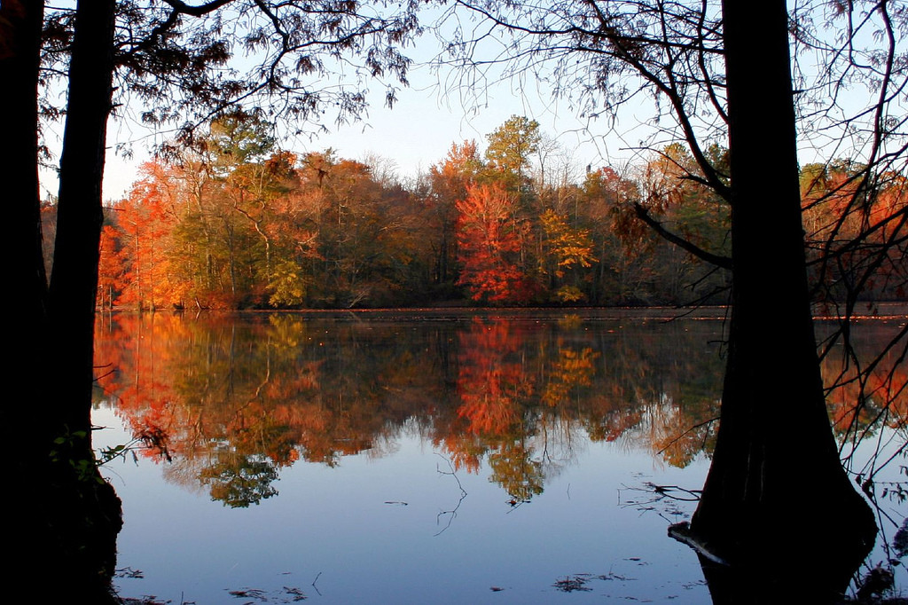 Trap Pond State Park