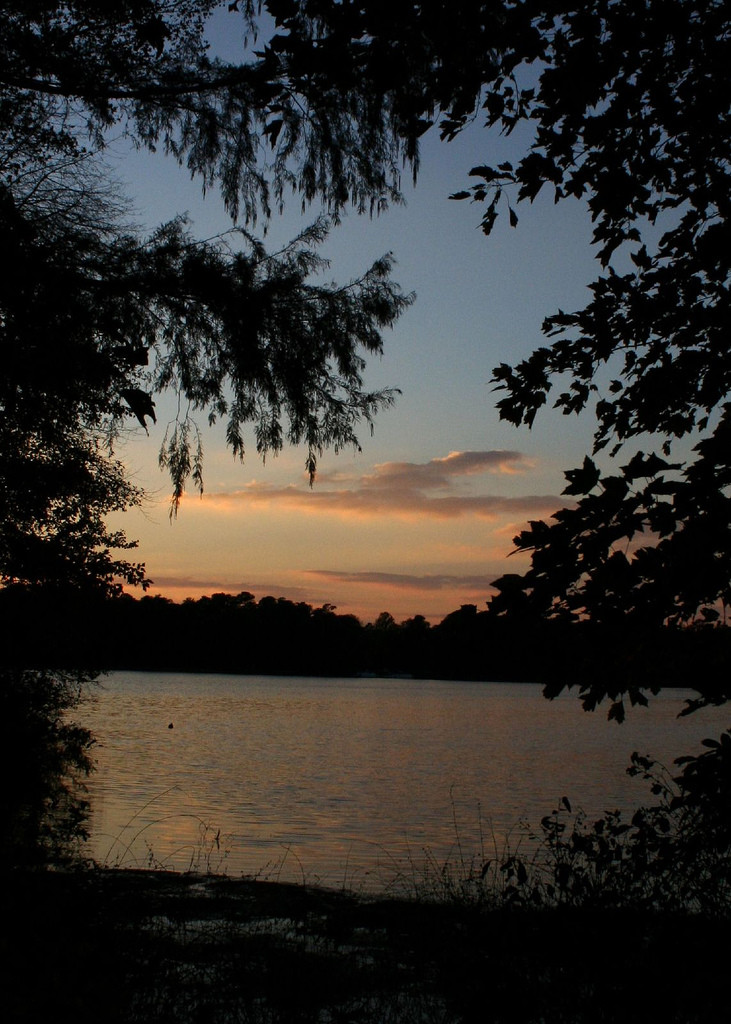 Trap Pond State Park