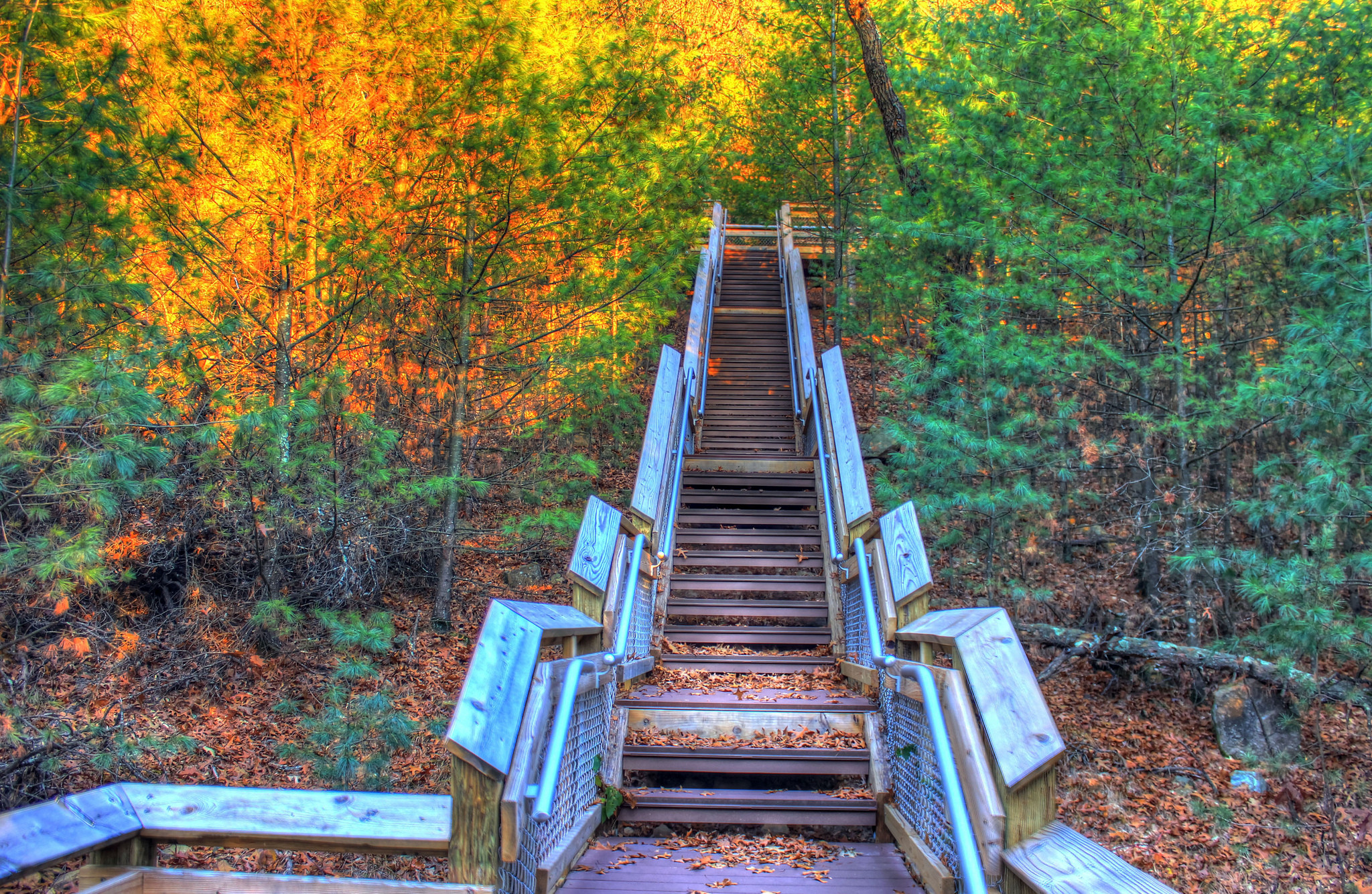 Roche a Cri State Park