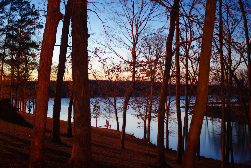 Lake Barkley