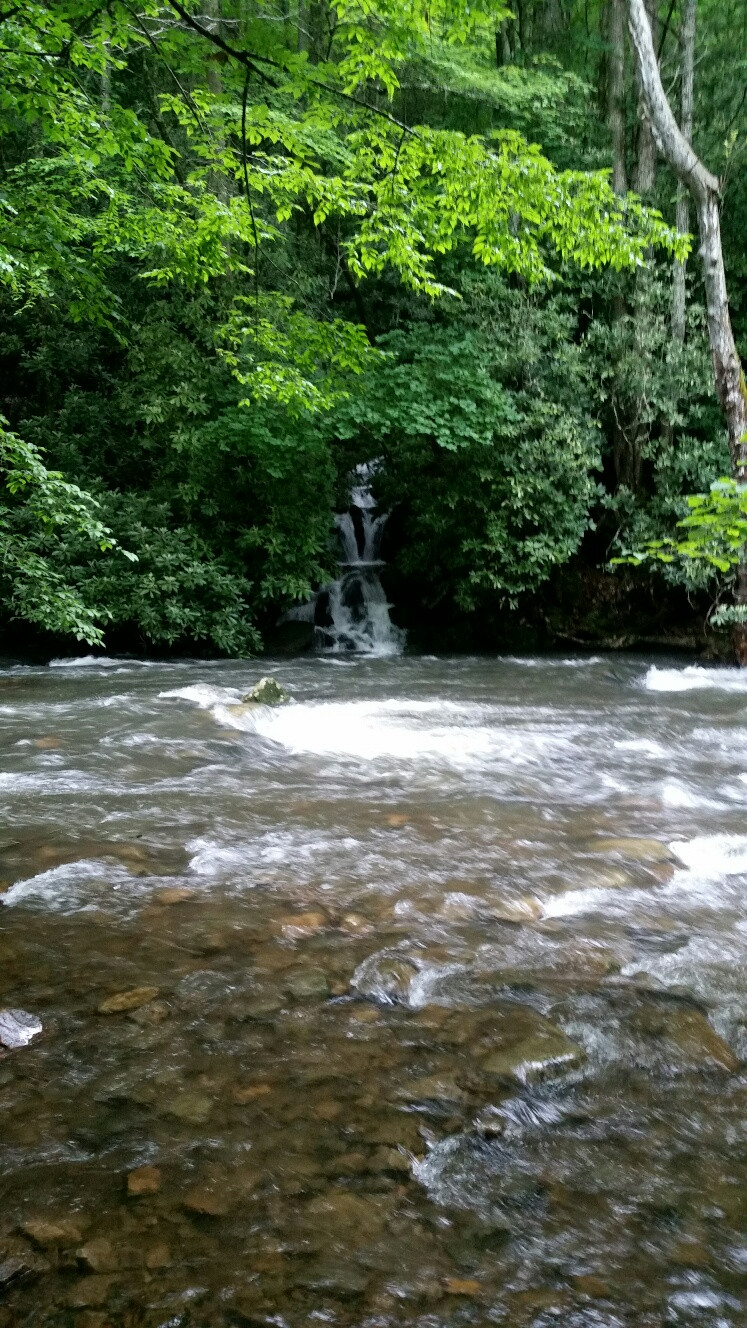 Right behind the campground~