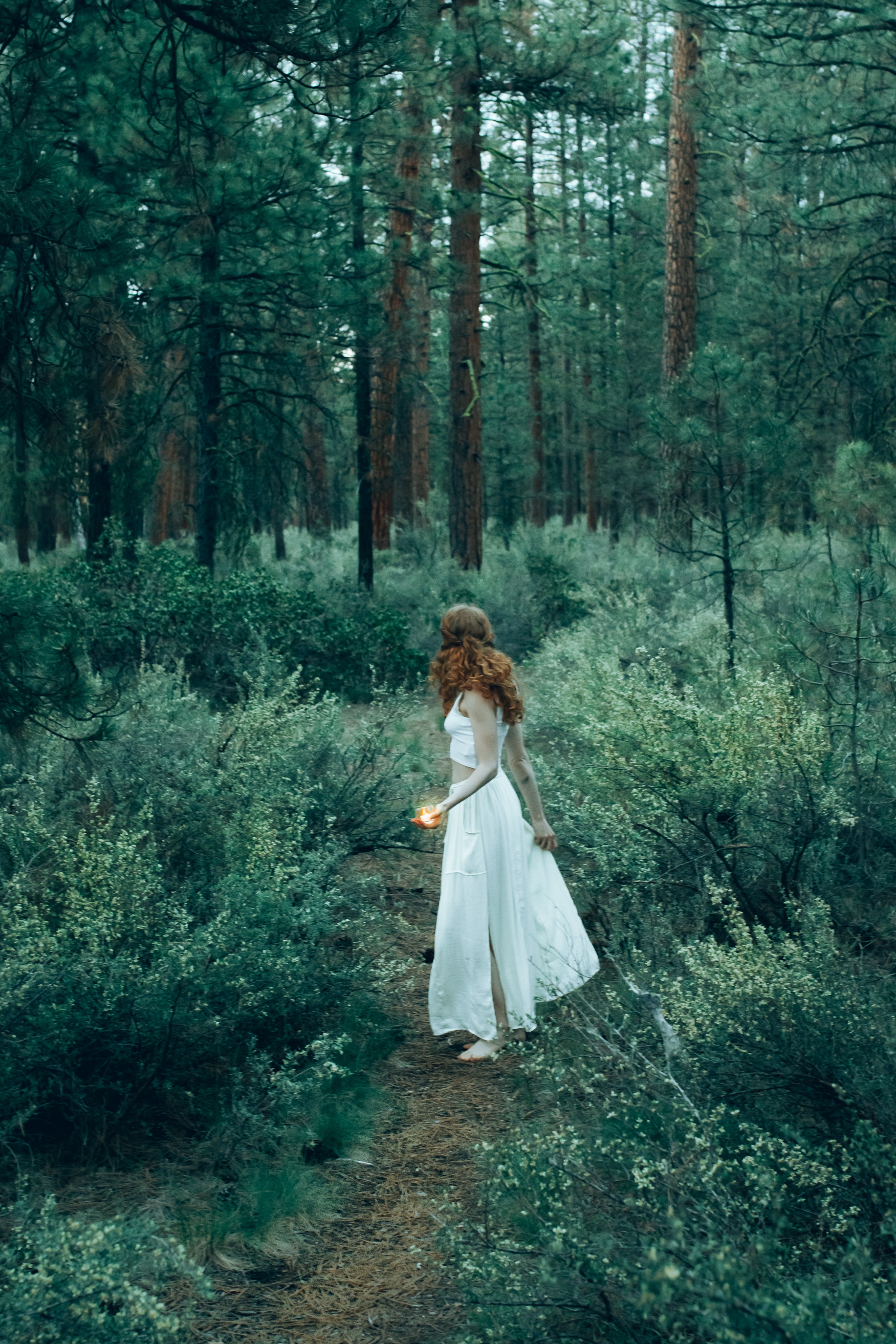 Deschutes National Forest