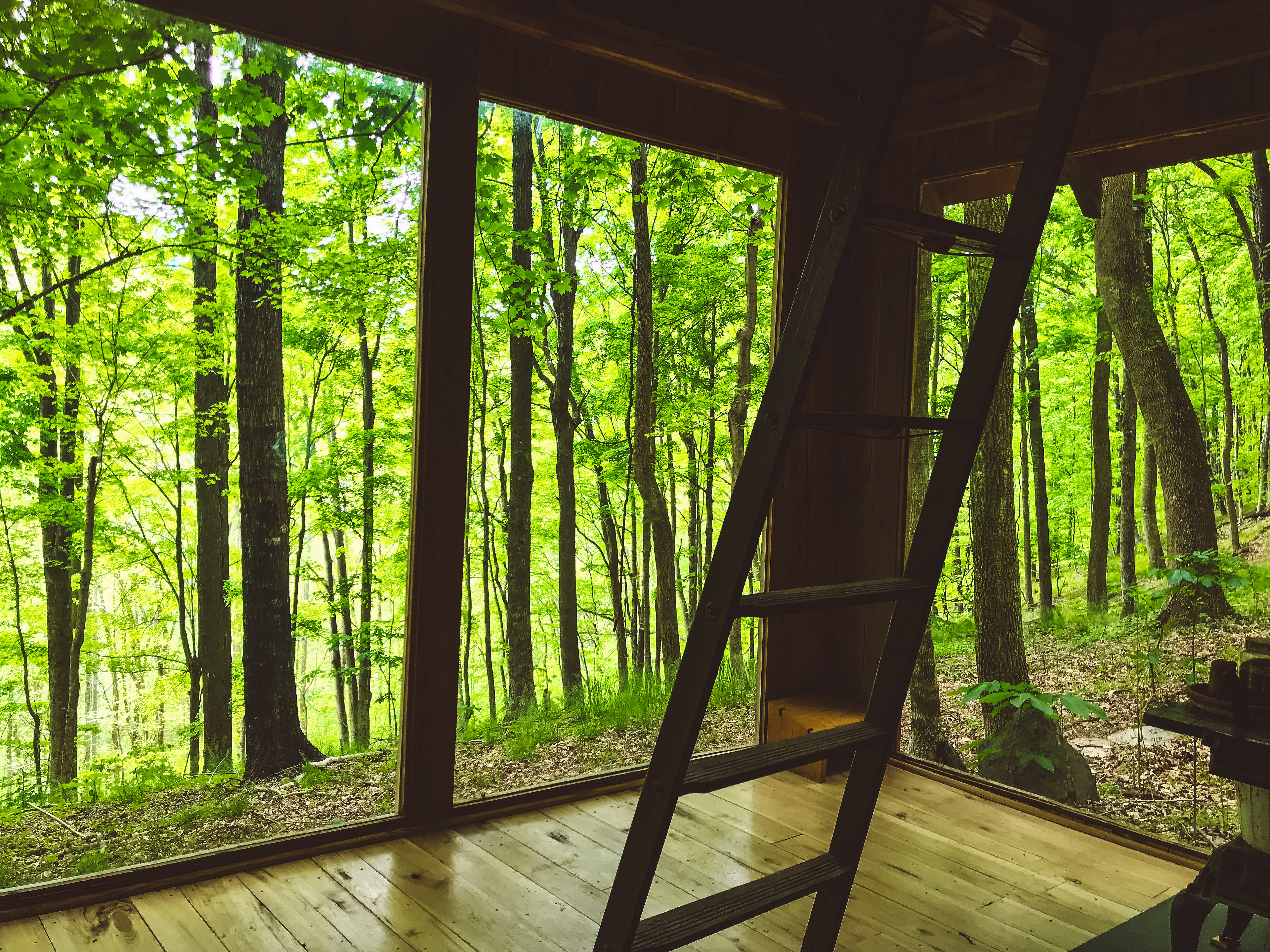 First view upon entry into the hut. Very exposed, allowing for a deeper connection with nature. 