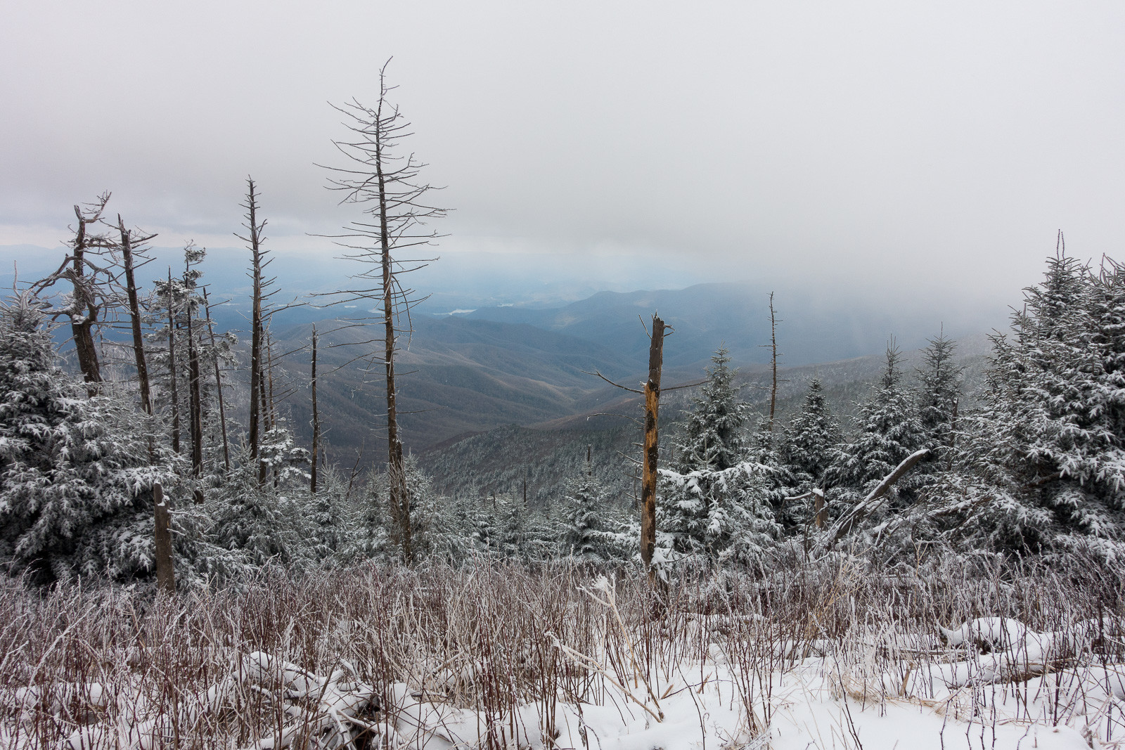 Great Smoky Mountains National Park view.