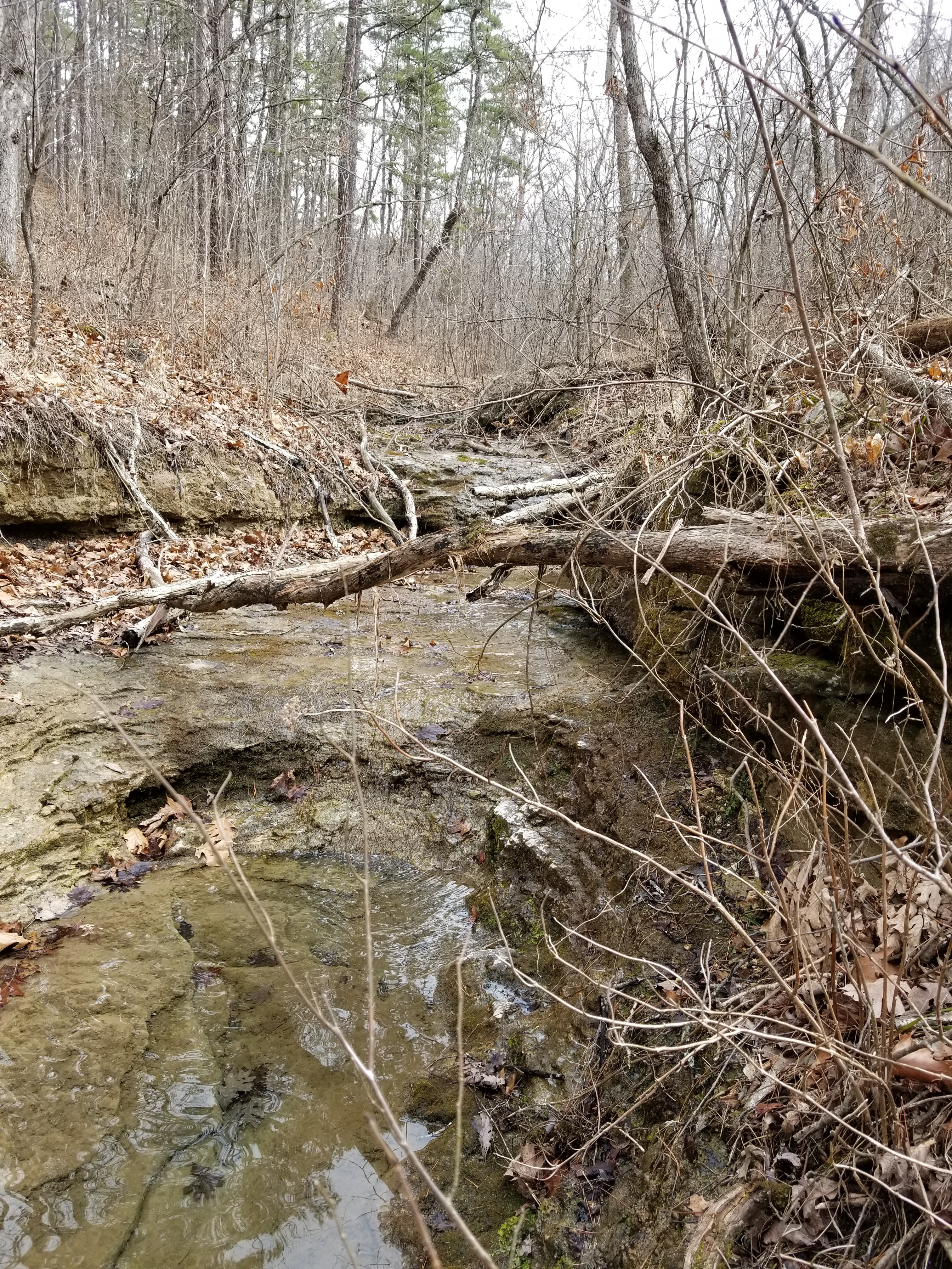 Hagood Farms and Trails
