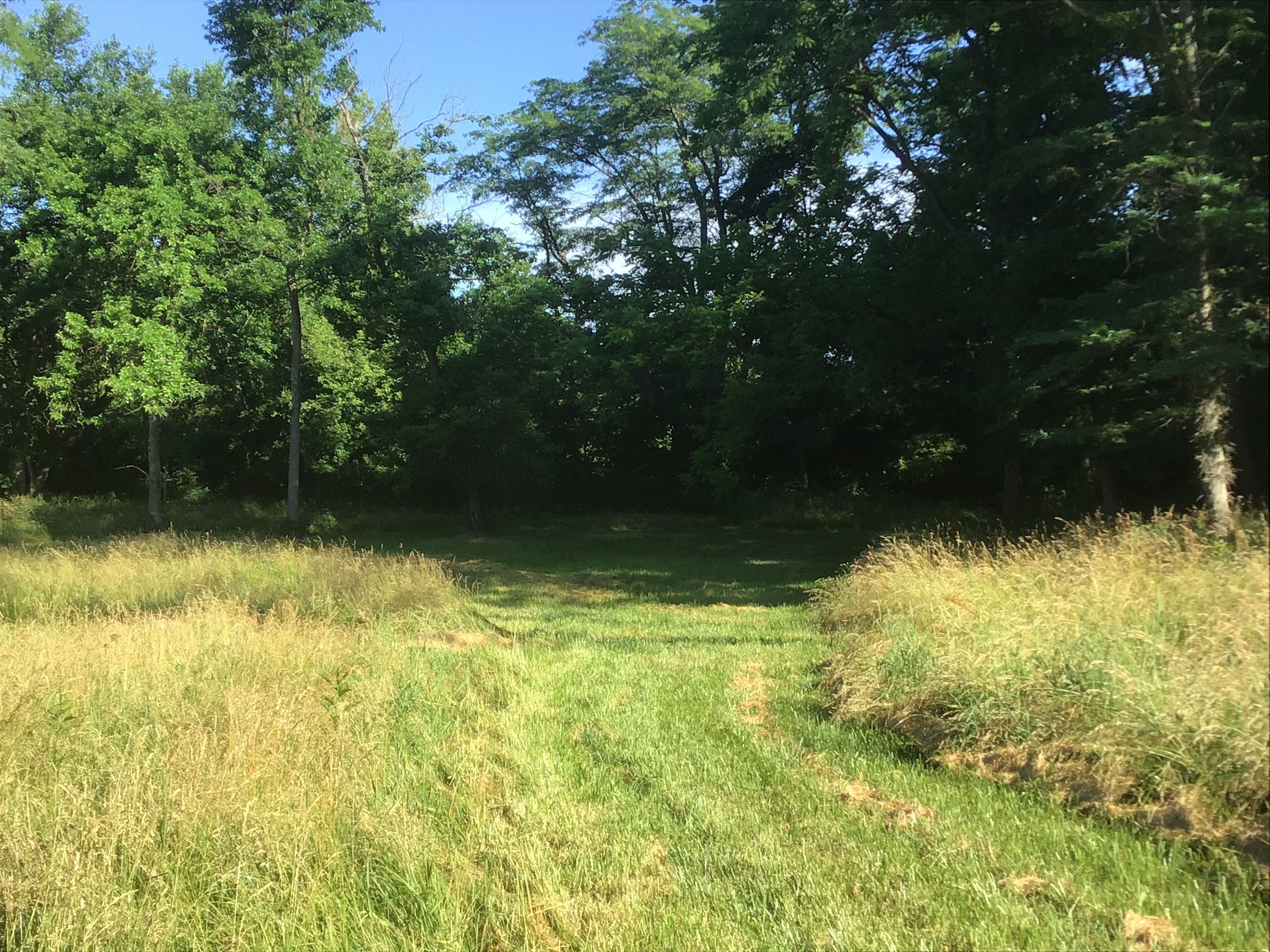 Little Darby Outdoors